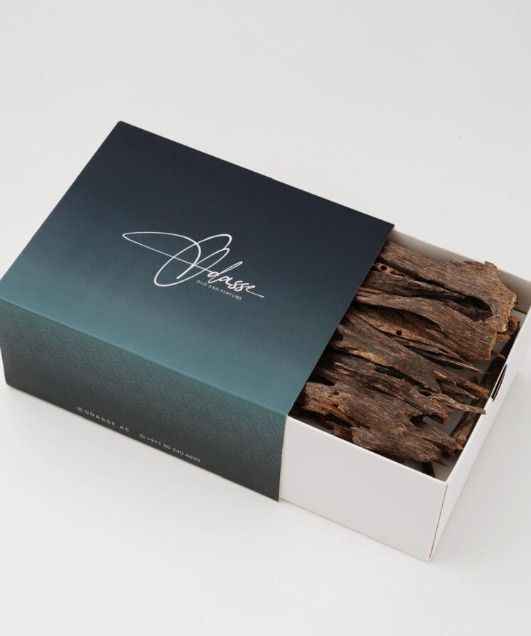 عـود رويـال مـجـالـس