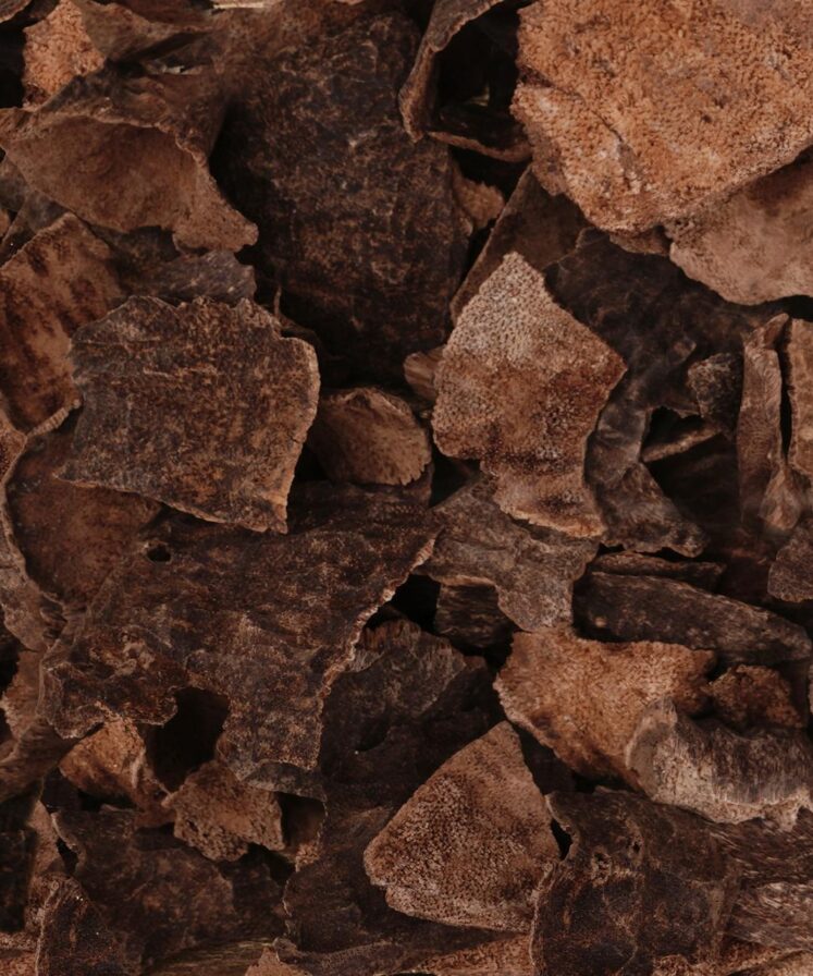 عـود هـنـدي جـار تـربـل سـوبـر