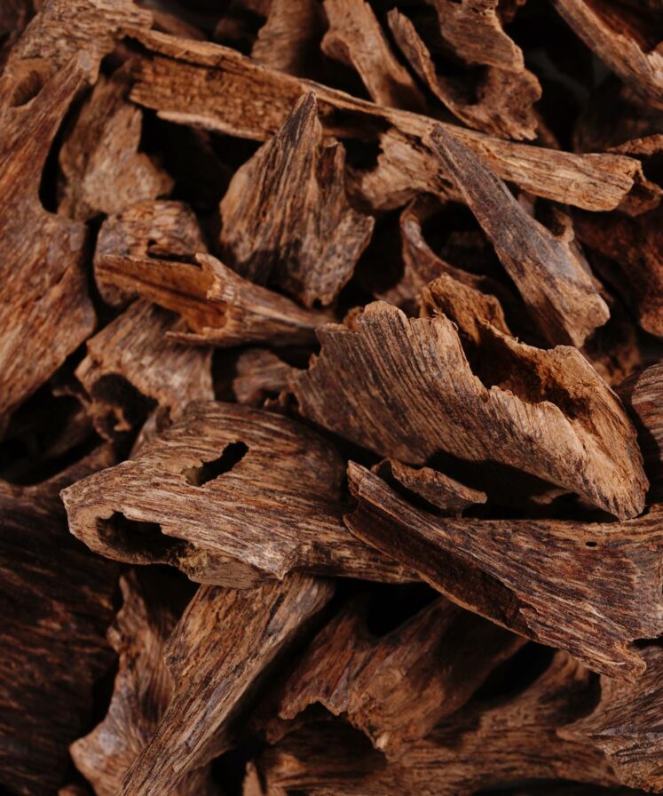 موري سيوفي تربل سوبر